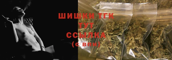 тгк Осинники