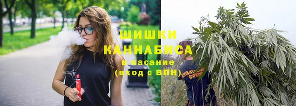 тгк Осинники